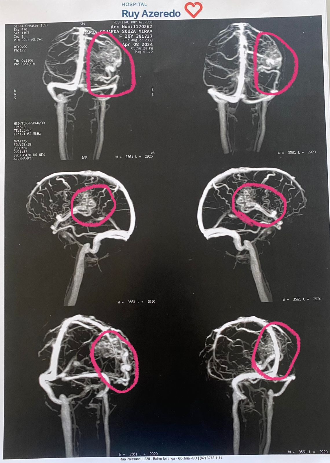 WhatsApp Image 2024-04-30 at 18.18.50